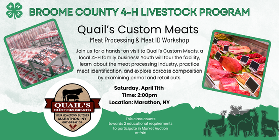 4-H Livestock Program: Quail's Custom Meats Tour