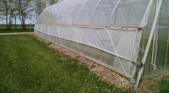 Join the CCE Cut Flower Program Work Team for webinars supporting both new and established cut flower operators.  