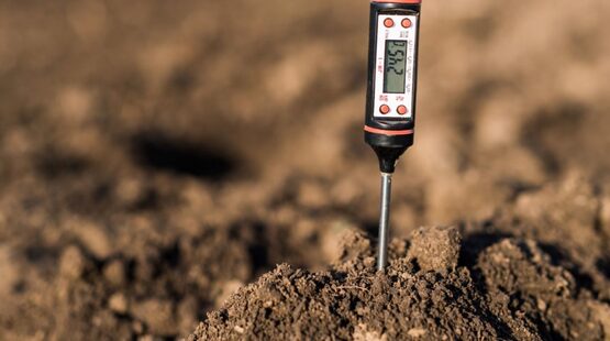 Join the CCE Cut Flower Program Work Team for webinars supporting both new and established cut flower operators.  