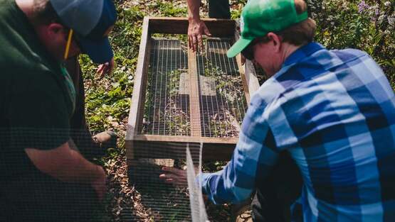 People air pruning saplings