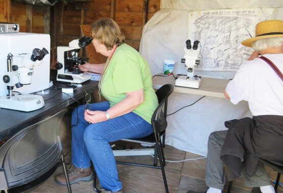 Microscopes at the Compost Fair