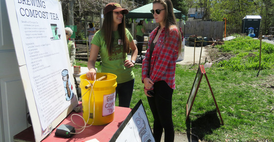 compost tea brewing