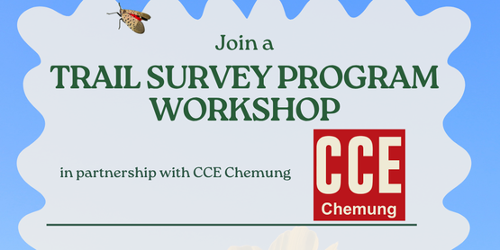 Flyer for the IS Trail Survey Workshop