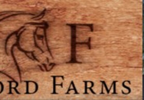 ​In collaboration with Crawford Farms, we’re excited to invite the community to experience one of New York’s leading Standardbred breeding and harness racing operations. 