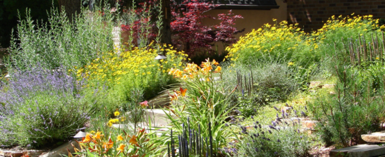 Water Wise Gardening