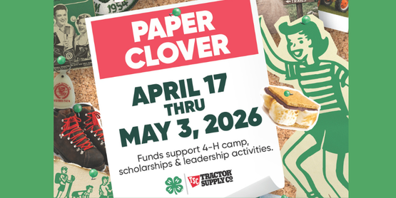 Paper Clover 2026