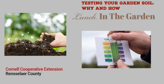 Testing Your Garden Soil