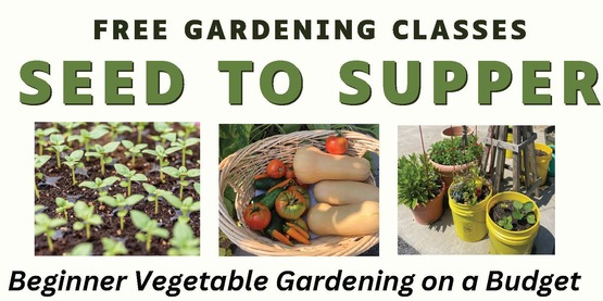 Seed to Supper - Schoharie