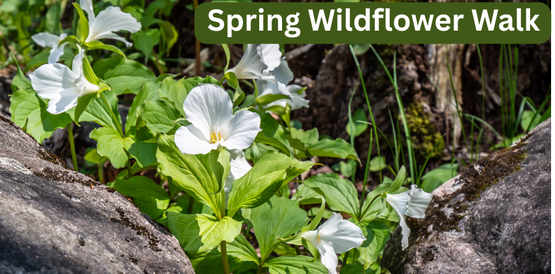 Join us on a family friendly educational walk at Rugar Woods to explore early signs of Spring!