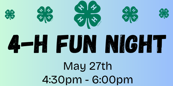 4-H Fun Night Flyer