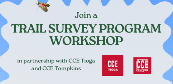 Flyer from "Trail Survey Program Workshop