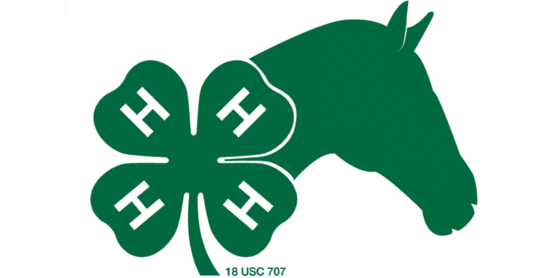 4-H Horse graphic