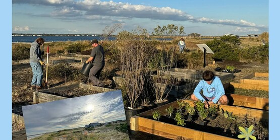 coastal gardening