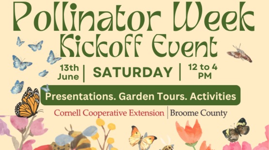 pollinator kickoff flyer