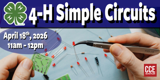 4-H Simple Circuits - April 