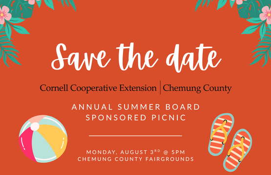 Annual Board Sponsored Summer Picnic 2026
