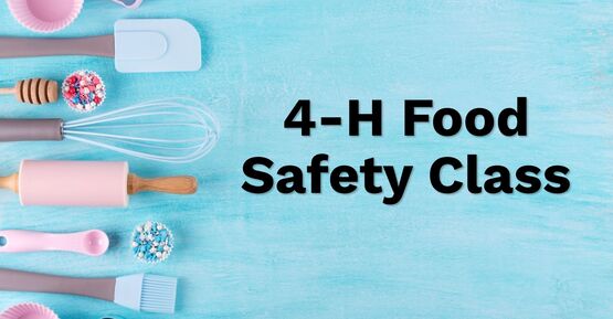 4-H Food Safety Class