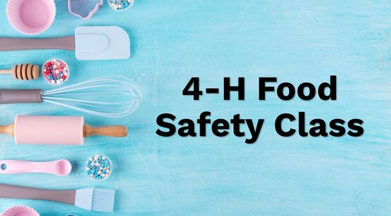 4-H Food Safety Class