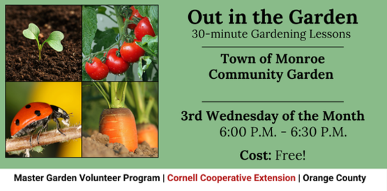 Out in the Garden
30-Minute Garden Lessons
Town of Monroe
Community Garden
3rd Wednesday of the Month
6:00 pm - 6:30 pm
Cost: FREE!