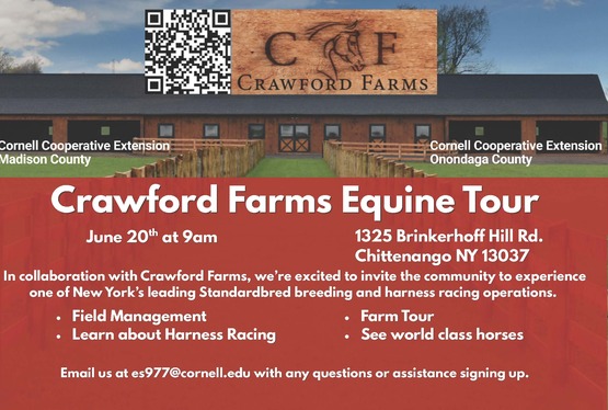 Crawford's Horse Farm