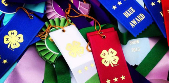 Fair ribbons