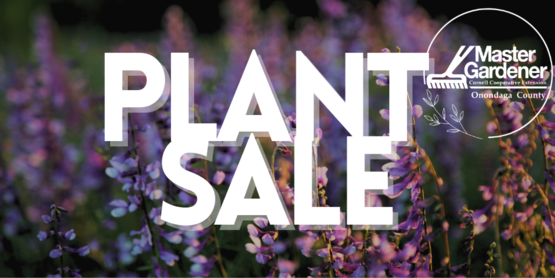mg plant sale 2