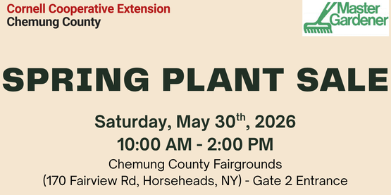 spring plant sale