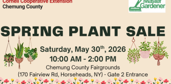 Spring Plants Sale 2026