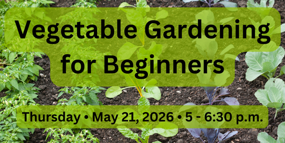 Vegetable Gardening for Beginners 2026