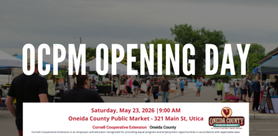 opening day centered