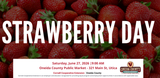 strawberry day