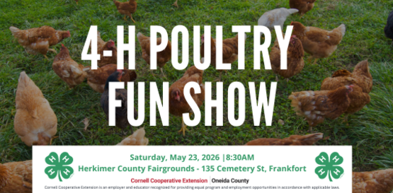 poultry fun show