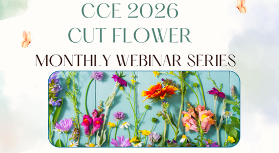 Cut Flower webinars