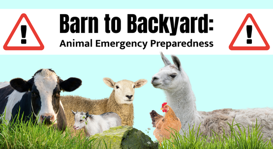 BANNER Barn to Backyard