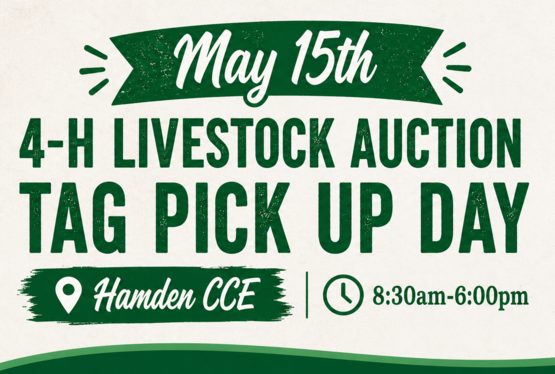 4-H Auction