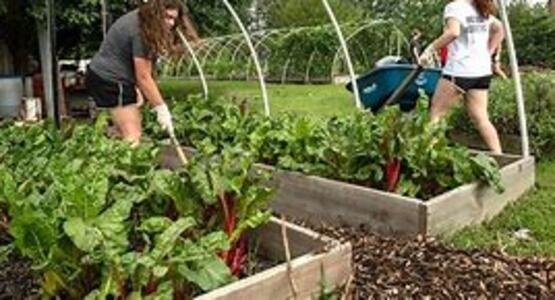 Come lend a hand and learn along the way as we plant our Teaching Garden for the season. 