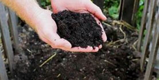 Madison County Solid Waste and Madison County Cooperative Extension are joining forces to host a composting workshop. Learn how turning food scraps and yard waste into compost can improve soil health and reduce waste. This session covers compost basics, what to add (and what to avoid), and simple tips to get started at home.  