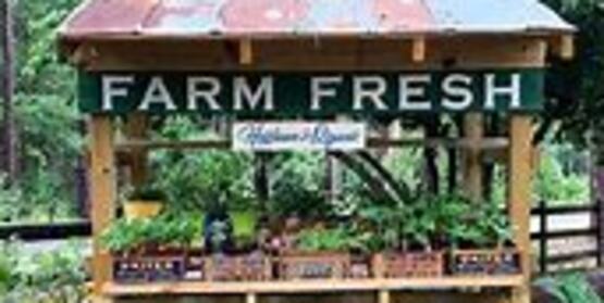 Looking to start or grow your roadside stand or farmstand? Join us to explore key considerations for getting started and strategies for growth. This workshop features an interactive panel with Kara Atwood and Joy’s Sourdough, sharing behind-the-scenes insights and real world roadside stand experience. 