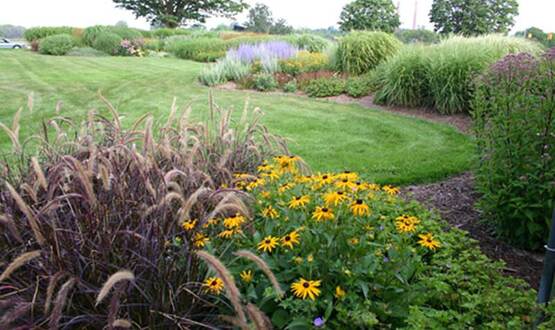 landscape border and lawn