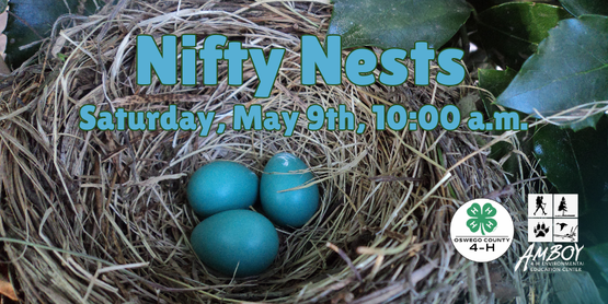 Nifty Nests