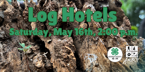 Log Hotels