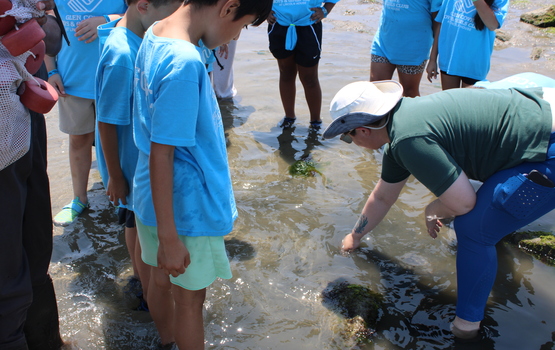 marine field trip