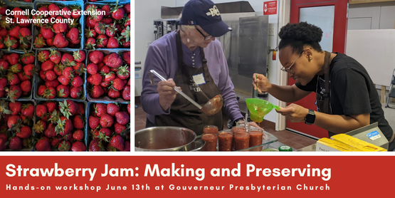 banner graphic for strawberry jam workshop