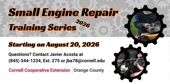 small engine