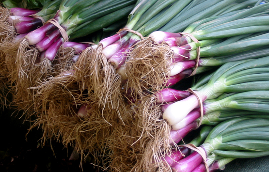 Onions
