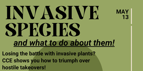 Invasive Species Workshop Flyer 5/13/26