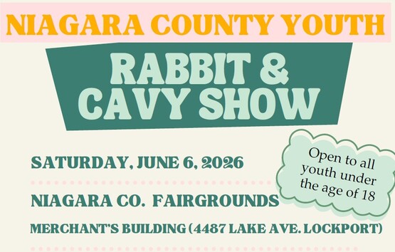 Rabbit & Cavy Youth Show