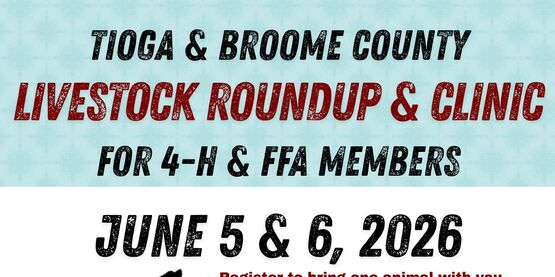 Tioga Broome Youth Livestock Clinic
