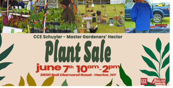 Hector Plant Sale 2026 Banner