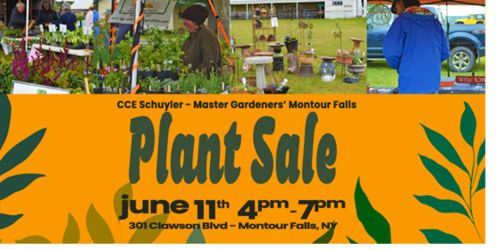 Plant Sale Montour Falls 2026 banner